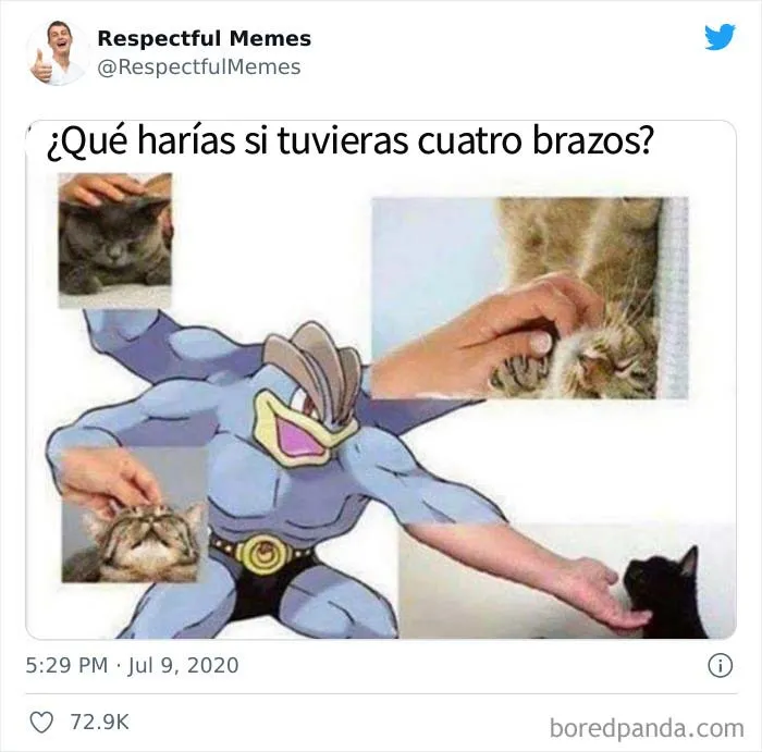 Esta cuenta de Twitter recoge sólo los memes más respetables, aquí están 20 de los mejores