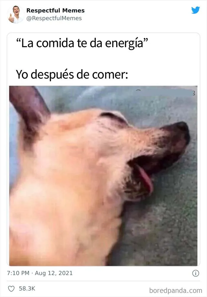 Esta cuenta de Twitter recoge sólo los memes más respetables, aquí están 20 de los mejores