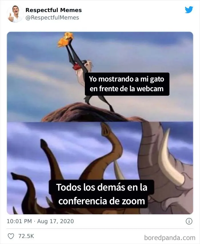 Esta cuenta de Twitter recoge sólo los memes más respetables, aquí están 20 de los mejores