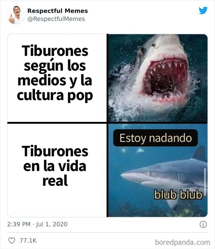 Esta cuenta de Twitter recoge sólo los memes más respetables, aquí están 20 de los mejores