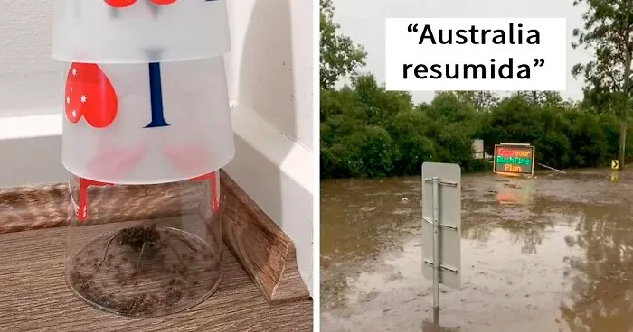 Esta comunidad online celebra la tierra del NO, y estas son 40 de sus mejores fotos