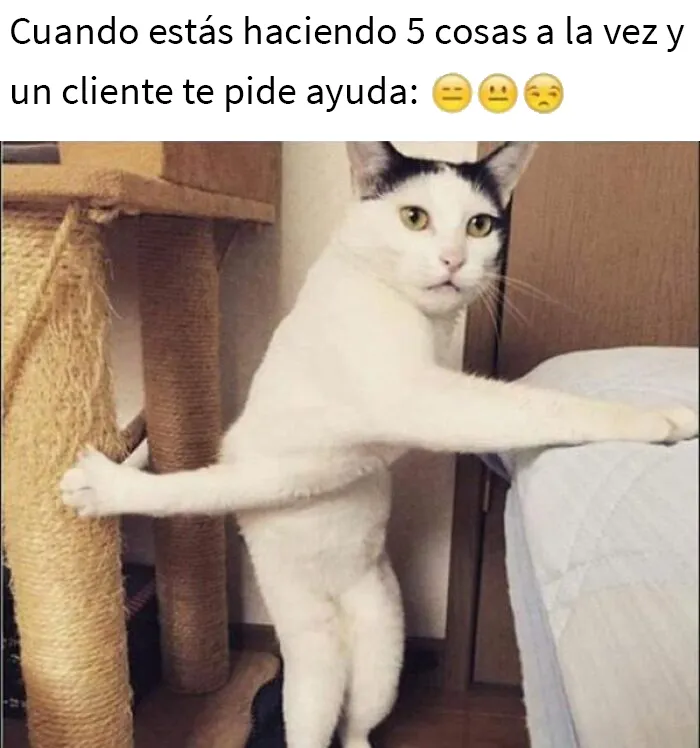 20 De las mejores publicaciones sobre el trabajo en atención al público con las que no sabrás si reír o llorar