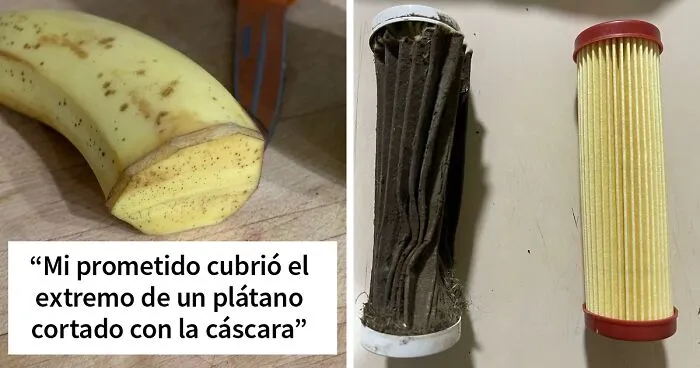 "Bastante interesante": Este grupo online explora el lado extraño y maravilloso de la vida cotidiana (40 fotos)