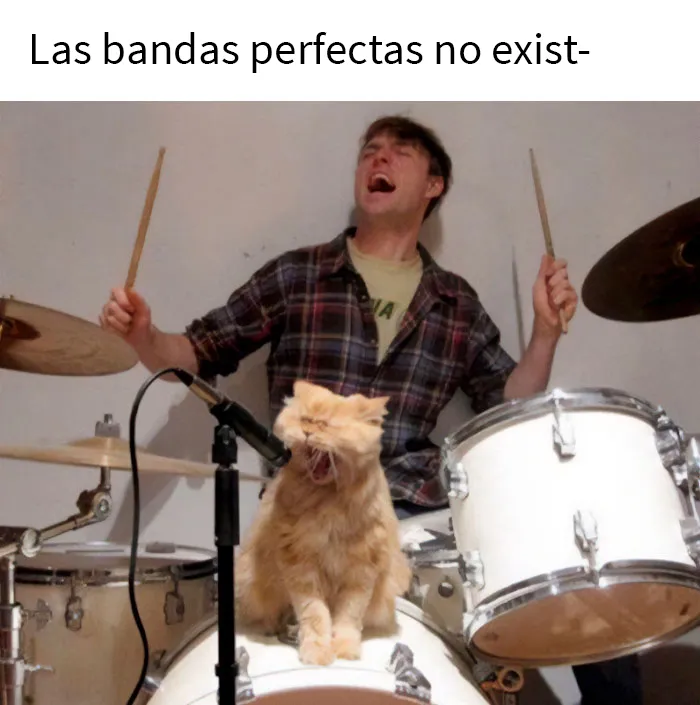 20 De las mejores publicaciones, bromas y memes sobre gatos