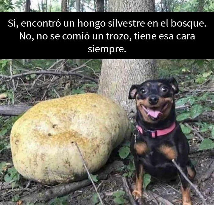 No le creo