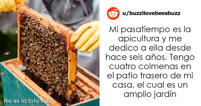 Este vecindario planta cara a un apicultor después de que se negara a renunciar a su pasatiempo por el bien de un niño alérgico a las abejas