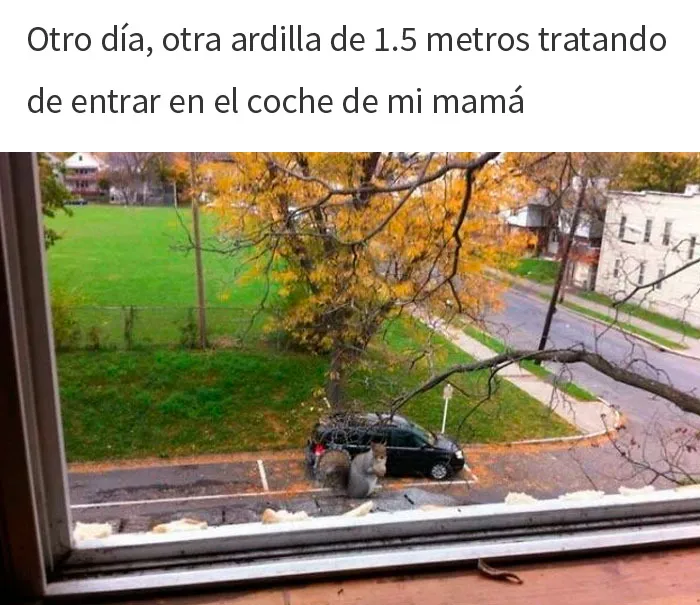 Odio cuando pasa esto