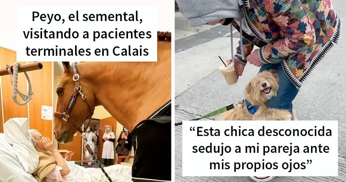 35 Imágenes reconfortantes que te alegrarán si estás desanimado (nuevas fotos)