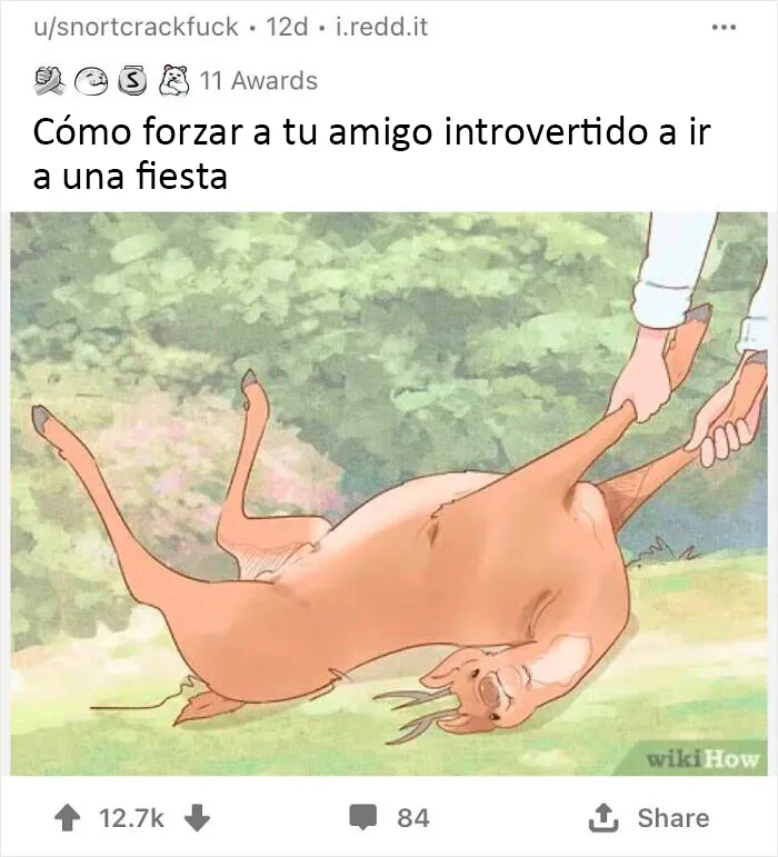 20 Imágenes de WikiHow sacadas de contexto, en las que se añadieron mensajes divertidos y oscuros