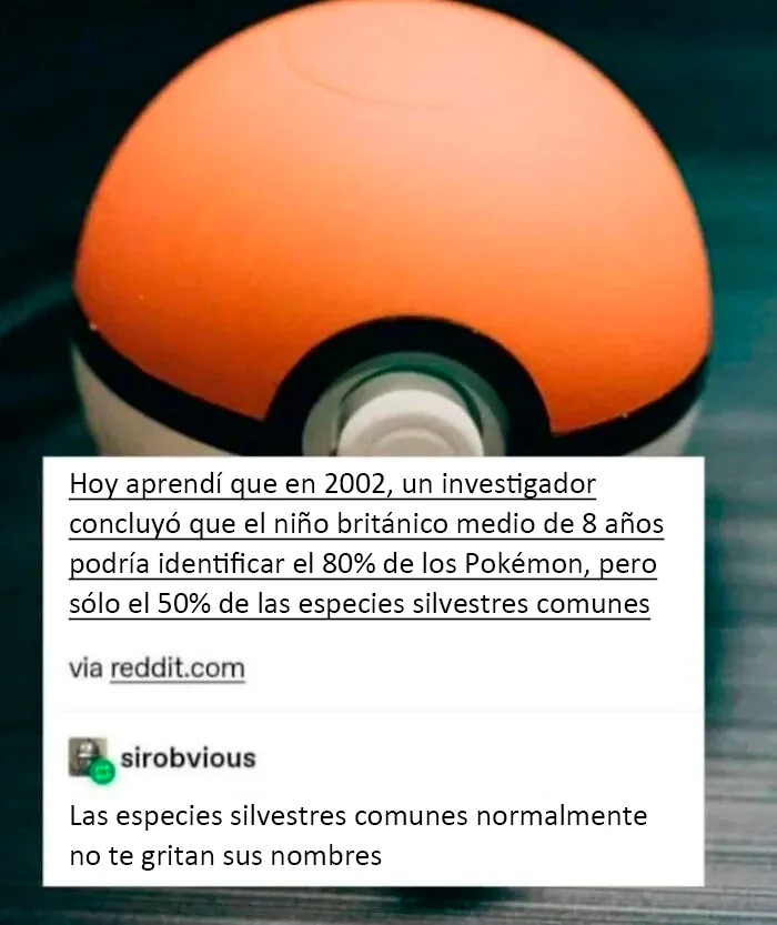 ¡¡¡¡Te elijo a ti, conejo!!!!