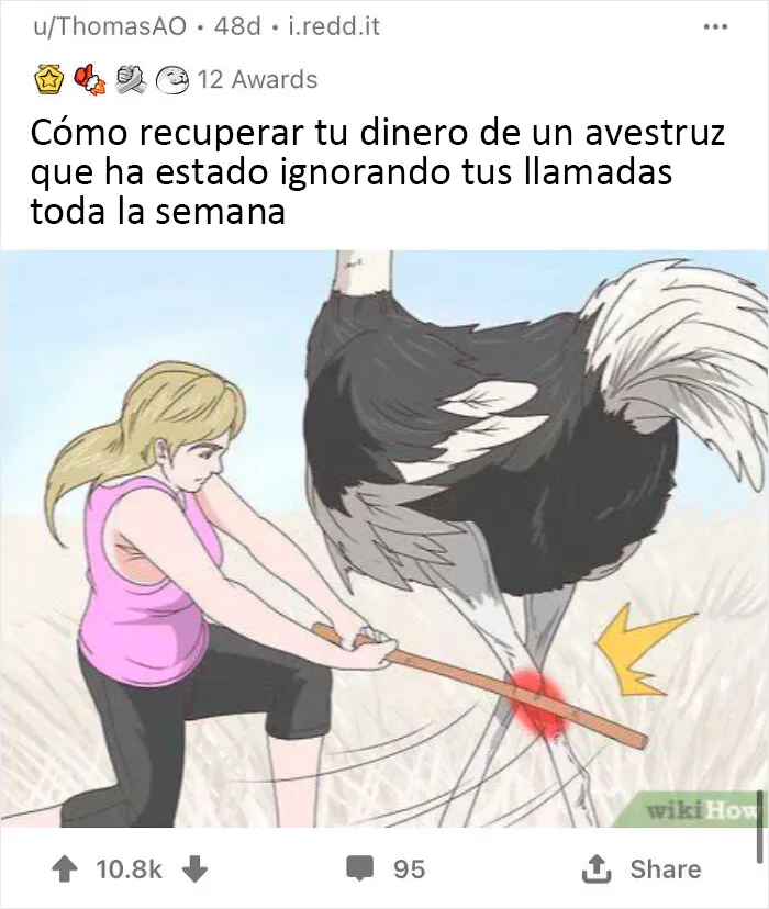 20 Imágenes de WikiHow sacadas de contexto, en las que se añadieron mensajes divertidos y oscuros