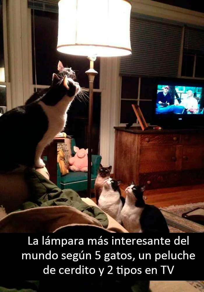 La lámpara más interesante del mundo