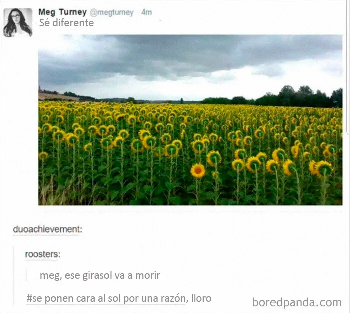 No soy como los demás girasoles. Estoy muerta