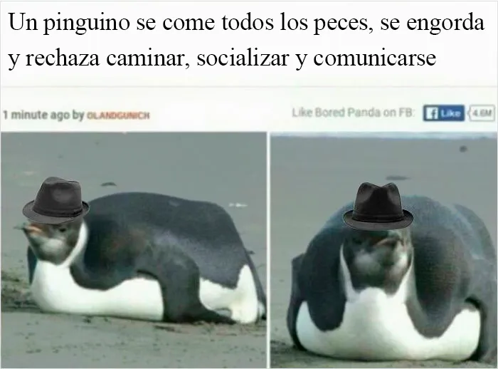 Creo esto va aquí...