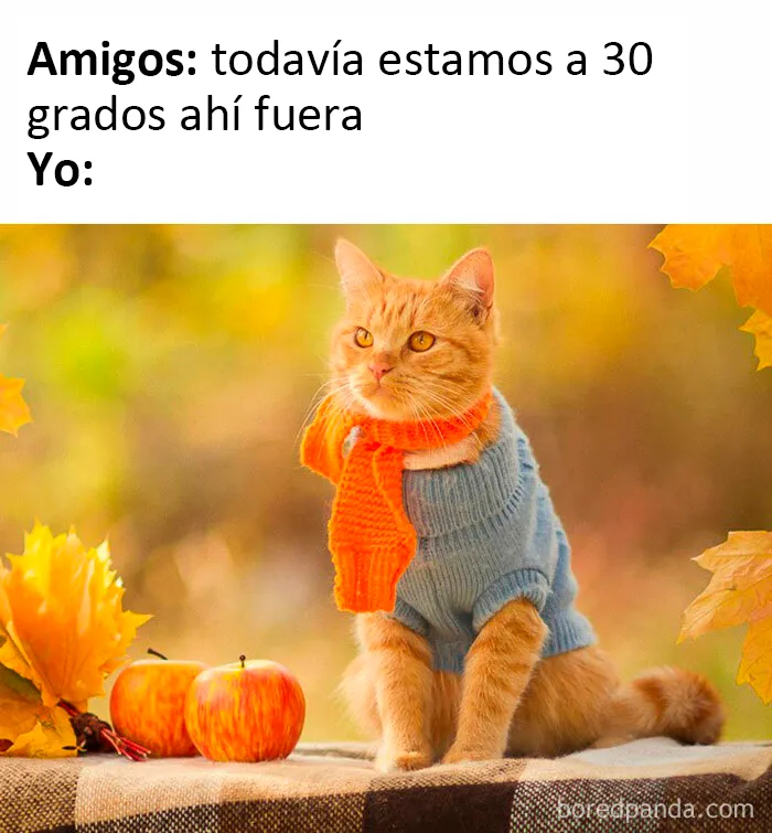 20 Divertidas publicaciones de personas que realmente quieren que el verano acabe ya