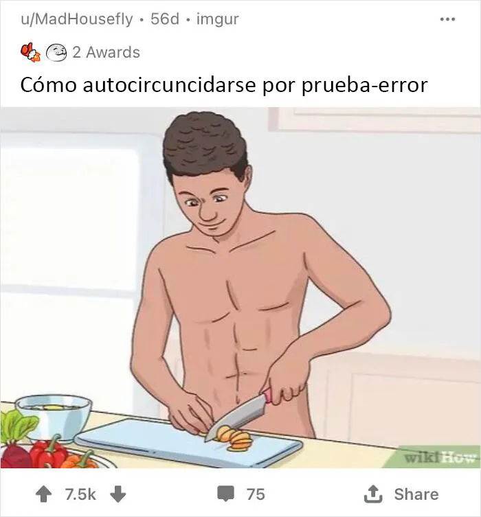20 Imágenes de WikiHow sacadas de contexto, en las que se añadieron mensajes divertidos y oscuros