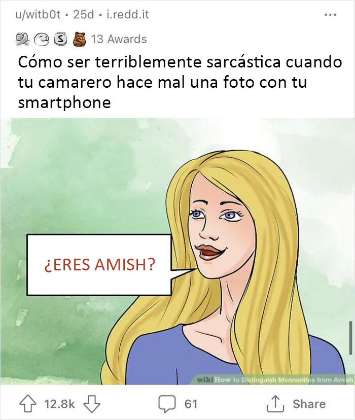 20 Imágenes de WikiHow sacadas de contexto, en las que se añadieron mensajes divertidos y oscuros