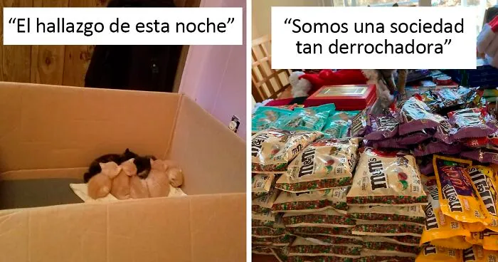 50 Personas que no podían creer la suerte que tuvieron buscando en la basura