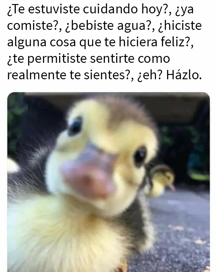 20 Divertidos memes sobre la vida cotidiana con un giro positivamente agresivo