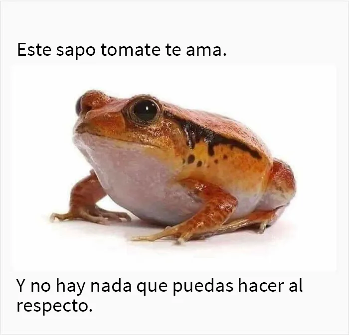 20 Divertidos memes sobre la vida cotidiana con un giro positivamente agresivo