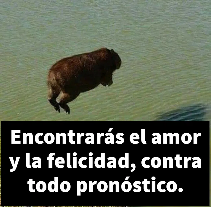 20 Divertidos memes sobre la vida cotidiana con un giro positivamente agresivo