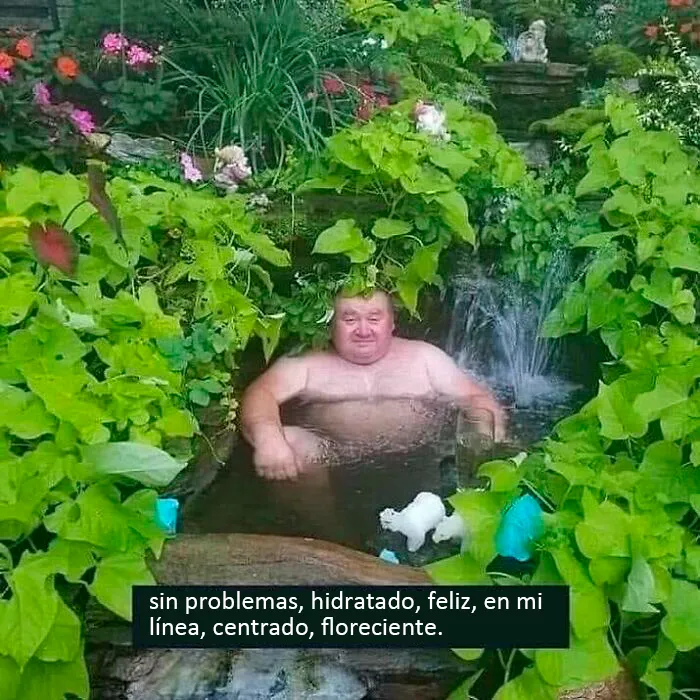 La cuenta de Instagram más rara se llama "Me quiero ir", y aquí hay 40 fotos que lo demuestran