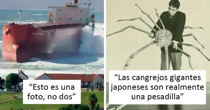 Este grupo online publica fotos de cosas enormes que asustarán a la gente con megalofobia