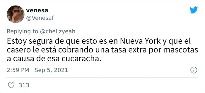 Esta mujer de Texas cuenta cómo su casero pintó sobre una cucaracha en la pared, y los internautas le respondieron con estos 18 memes y bromas