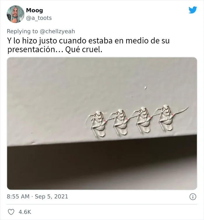 Esta mujer de Texas cuenta cómo su casero pintó sobre una cucaracha en la pared, y los internautas le respondieron con estos 18 memes y bromas