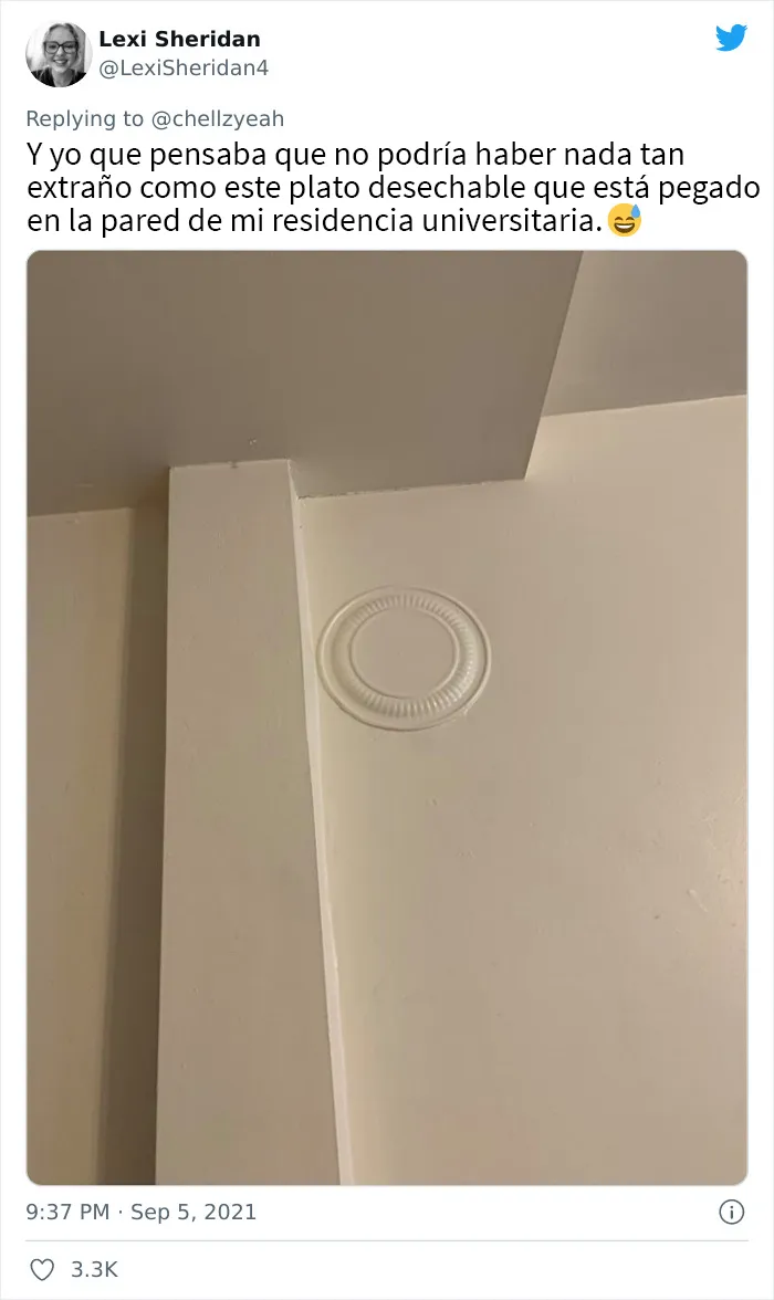 Esta mujer de Texas cuenta cómo su casero pintó sobre una cucaracha en la pared, y los internautas le respondieron con estos 18 memes y bromas
