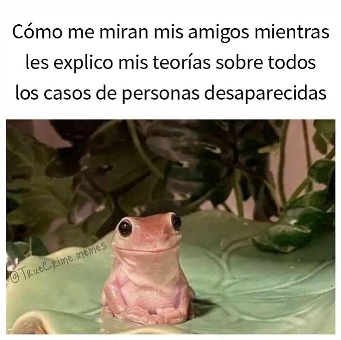 20 De los mejores memes sobre "Crimen real"