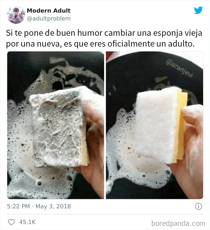 20 Divertidos memes sobre ser adulto que cuentan solo la verdad