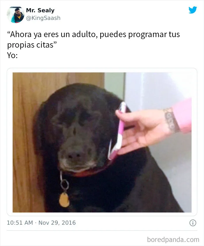 20 Divertidos memes sobre ser adulto que cuentan solo la verdad