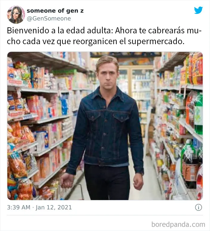 20 Divertidos memes sobre ser adulto que cuentan solo la verdad