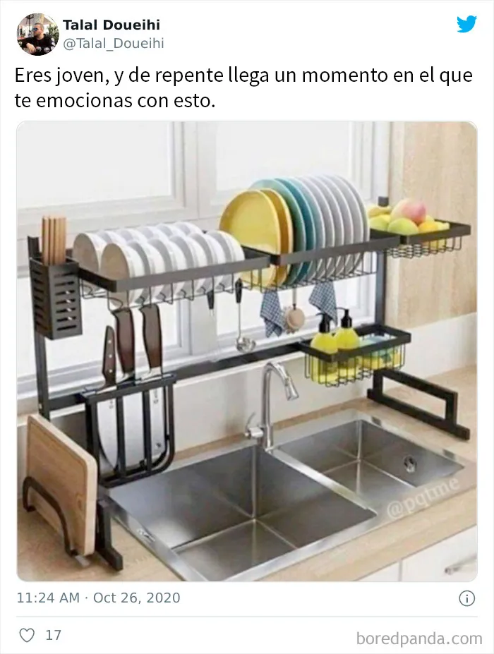 20 Divertidos memes sobre ser adulto que cuentan solo la verdad
