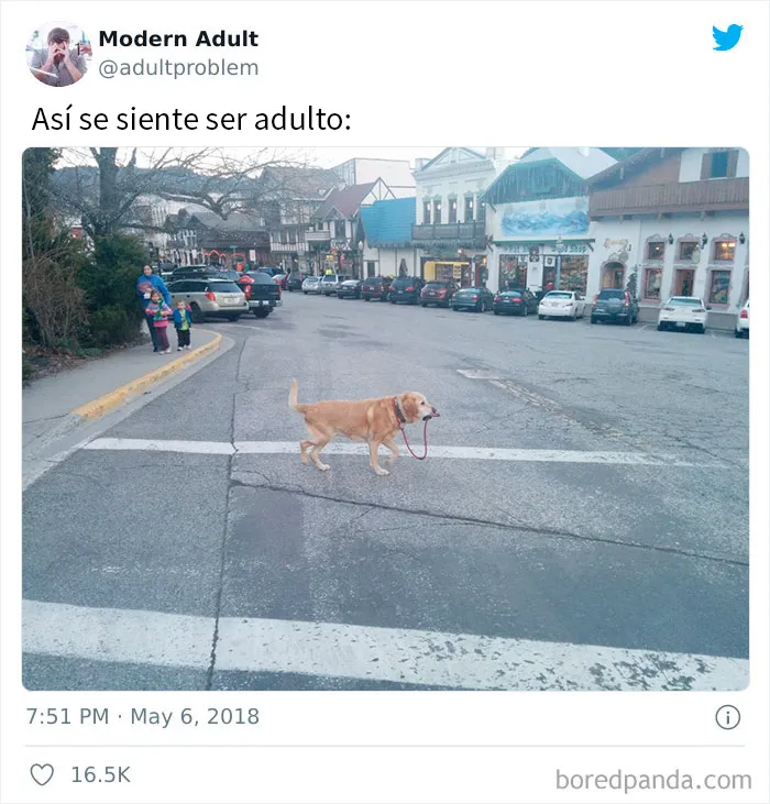 20 Divertidos memes sobre ser adulto que cuentan solo la verdad