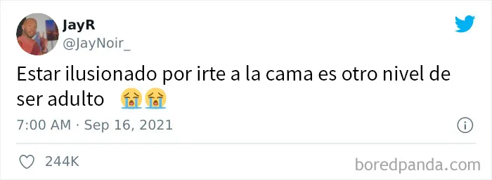 20 Divertidos memes sobre ser adulto que cuentan solo la verdad