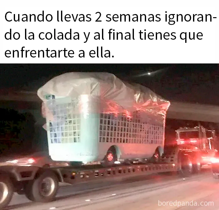 20 Divertidos memes sobre ser adulto que cuentan solo la verdad