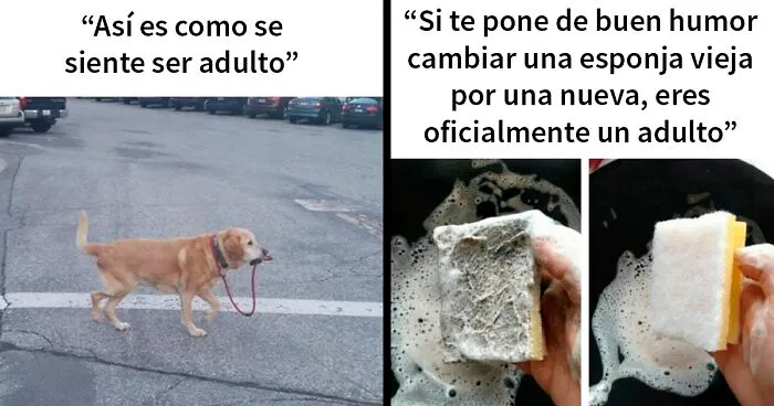 20 Divertidos memes sobre ser adulto que cuentan solo la verdad