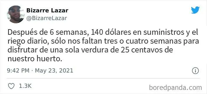 Truco de vida: Compra verduras en la tienda de comestibles, dile a la gente que son frescas recogidas del jardín y ve cómo hablan de su sabor fresco