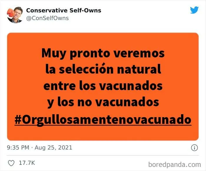20 Personas que pensaron que estaban haciendo una declaración, pero se autodestruyeron