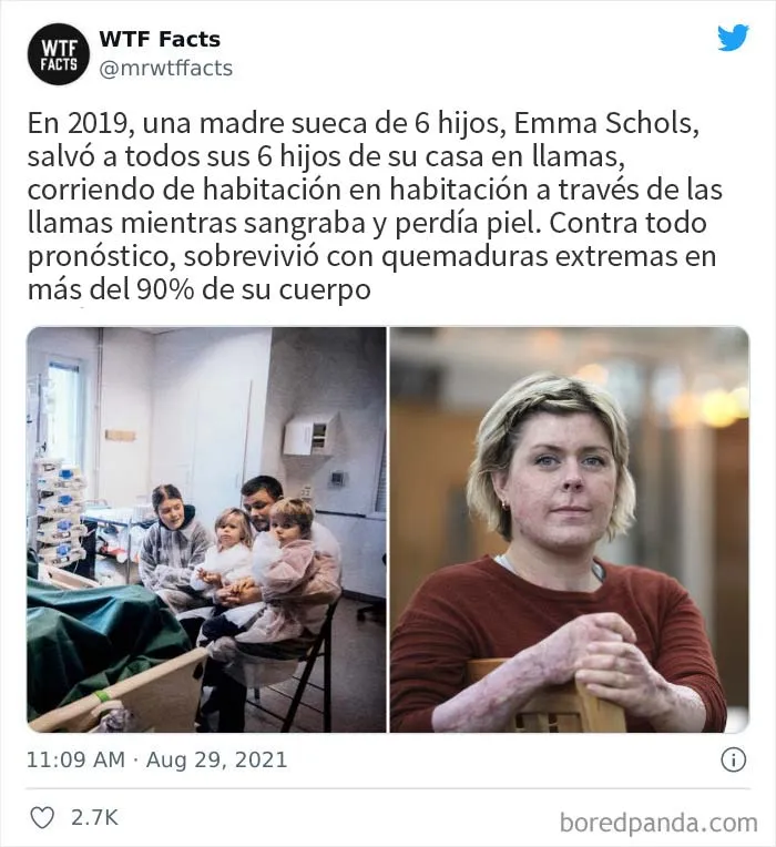 Esta cuenta de Twitter publica datos interesantes arbitrarios, y aquí hay 20 de los mejores (nuevas imágenes)