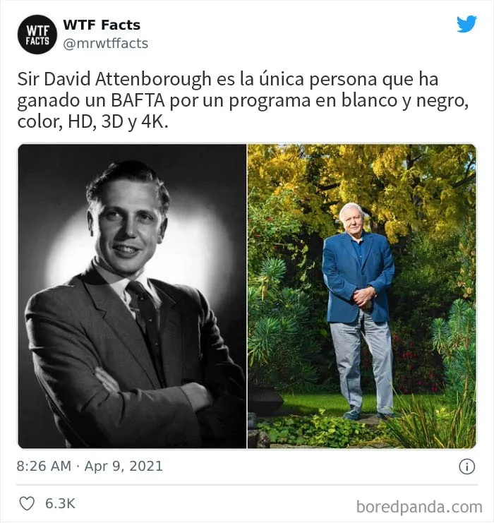 Esta cuenta de Twitter publica datos interesantes arbitrarios, y aquí hay 20 de los mejores (nuevas imágenes)
