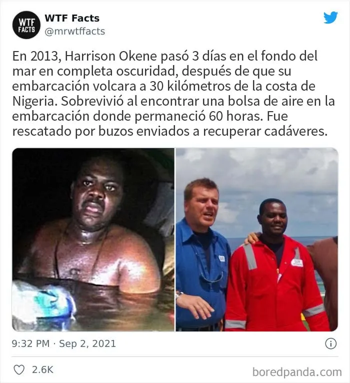 Esta cuenta de Twitter publica datos interesantes arbitrarios, y aquí hay 20 de los mejores (nuevas imágenes)