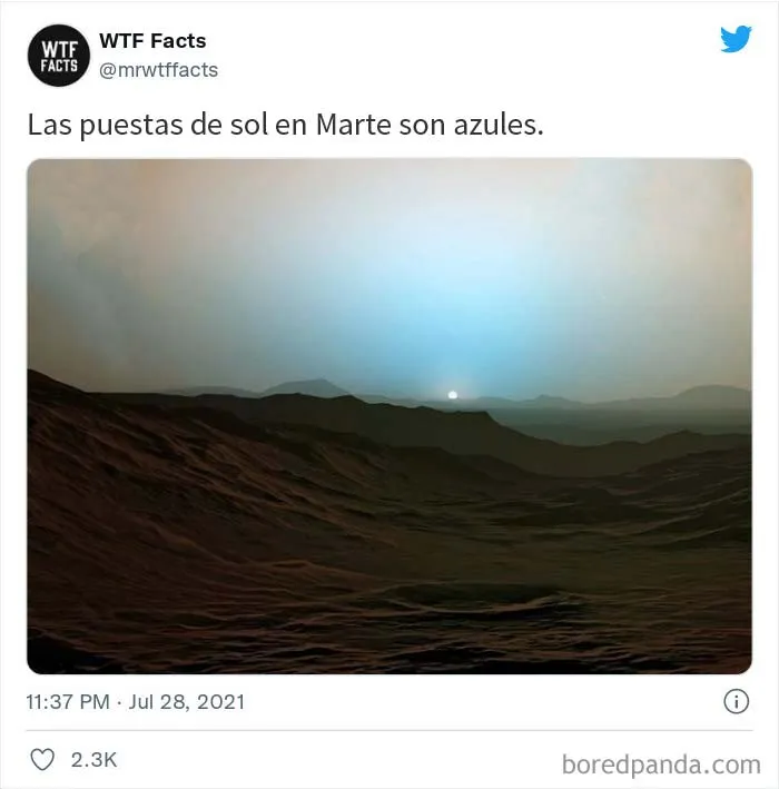Esta cuenta de Twitter publica datos interesantes arbitrarios, y aquí hay 20 de los mejores (nuevas imágenes)