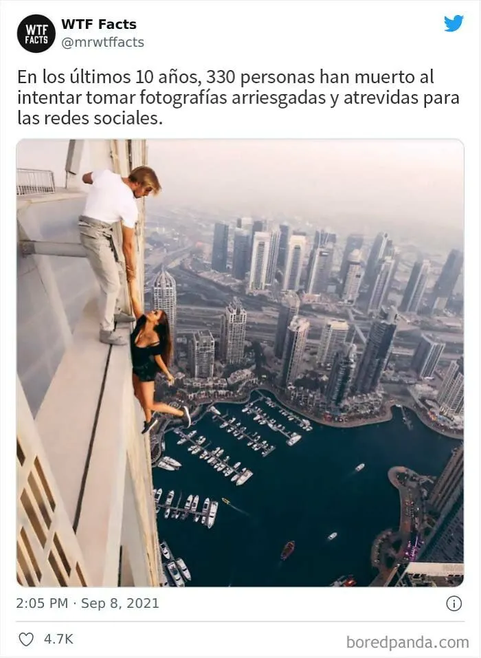 Esta cuenta de Twitter publica datos interesantes arbitrarios, y aquí hay 20 de los mejores (nuevas imágenes)