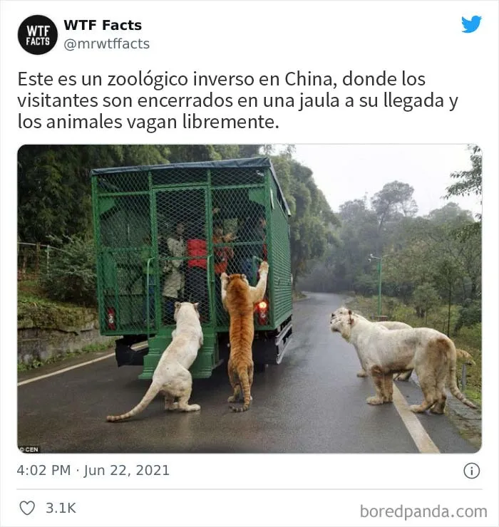 Esta cuenta de Twitter publica datos interesantes arbitrarios, y aquí hay 20 de los mejores (nuevas imágenes)