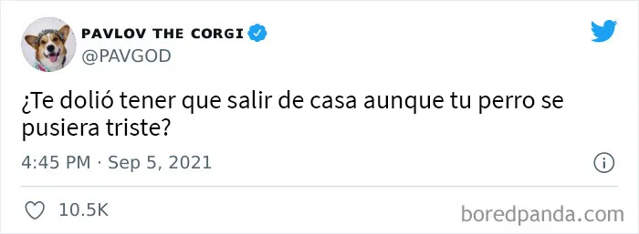 Los 20 mejores memes de “¿Te dolió?” que fueron tendencia en Twitter