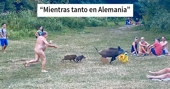 Este grupo está dedicado a cosas que solo ocurren en Europa, y aquí tienes 40 muy interesantes