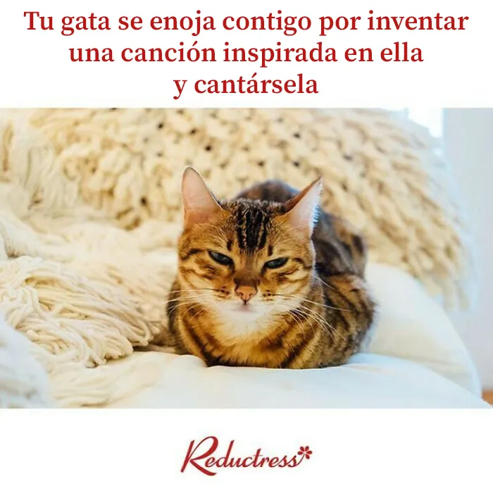 Esta falsa revista digital para mujeres comparte divertidísimos “artículos” con los que muchas podrán identificarse